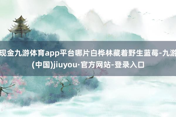 现金九游体育app平台哪片白桦林藏着野生蓝莓-九游(中国)jiuyou·官方网站-登录入口