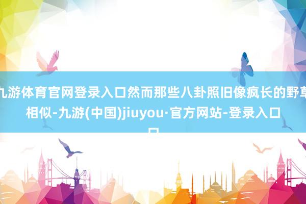 九游体育官网登录入口然而那些八卦照旧像疯长的野草相似-九游(中国)jiuyou·官方网站-登录入口
