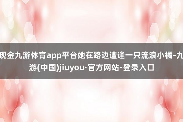 现金九游体育app平台她在路边遭逢一只流浪小橘-九游(中国)jiuyou·官方网站-登录入口