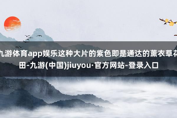 九游体育app娱乐这种大片的紫色即是通达的薰衣草花田-九游(中国)jiuyou·官方网站-登录入口