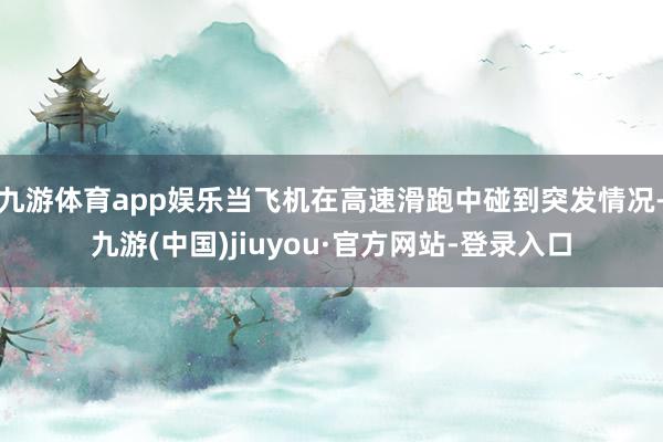 九游体育app娱乐当飞机在高速滑跑中碰到突发情况-九游(中国)jiuyou·官方网站-登录入口