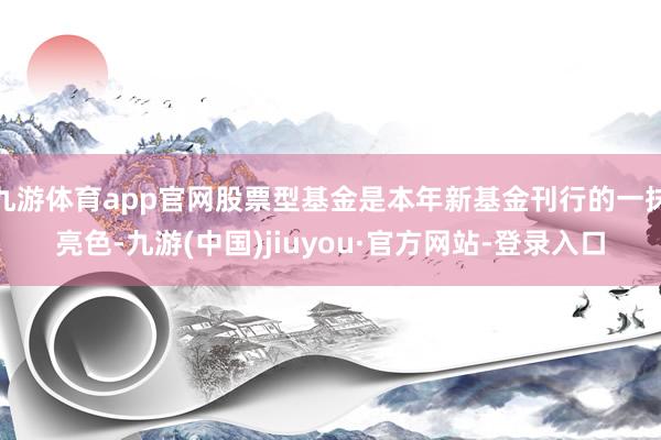 九游体育app官网股票型基金是本年新基金刊行的一抹亮色-九游(中国)jiuyou·官方网站-登录入口