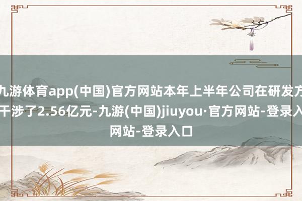 九游体育app(中国)官方网站本年上半年公司在研发方面干涉了2.56亿元-九游(中国)jiuyou·官方网站-登录入口