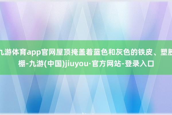 九游体育app官网屋顶掩盖着蓝色和灰色的铁皮、塑胶棚-九游(中国)jiuyou·官方网站-登录入口